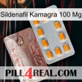 Sildenafil Kamagra 100Mg new13